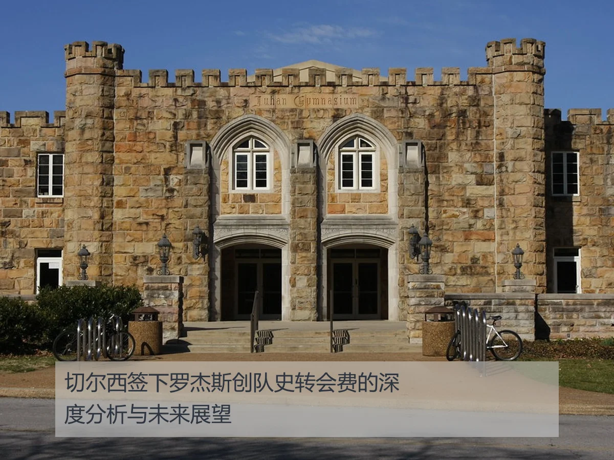 切尔西签下罗杰斯创队史转会费的深度分析与未来展望